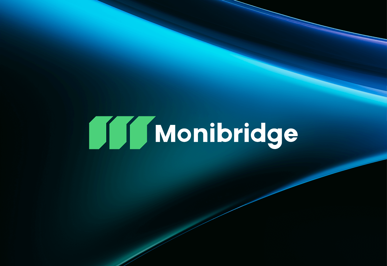 Monibridge Brand Identity
